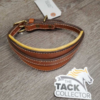Wide Padded Dog Collar *new, older
