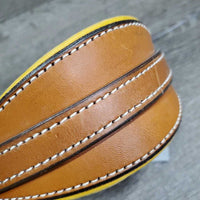 Wide Padded Dog Collar *new, older
