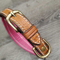 Wide Padded Dog Collar *new, older
