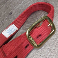 v.Thick Nylon Halter *vgc, clean, mnr stains
