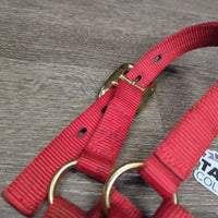 v.Thick Nylon Halter *vgc, clean, mnr stains

