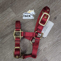 Thick Halter, adj *like new
