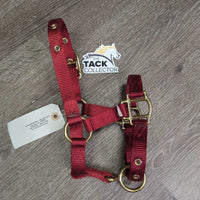 Thick Halter, adj *like new
