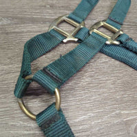 Nylon Halter, snap *vgc, clean, dusty seams, oxidized?spots
