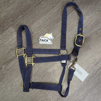 Thin Nylon Halter, snap *gc, mnr dirt, residue, faded, rough grommets
