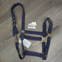 Thin Nylon Halter, snap *gc, mnr dirt, residue, faded, rough grommets
