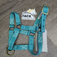 Slip Nose Halter *xc/like new, clean
