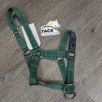 Nylon Halter, Slip Knot *like new

