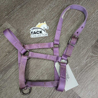 Stiff Nylon Halter, slip nose *vgc, mnr dirt, stains
