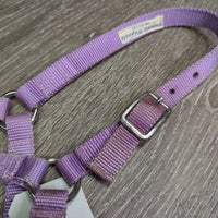 Stiff Nylon Halter, slip nose *vgc, mnr dirt, stains
