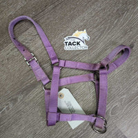 Stiff Nylon Halter, slip nose *vgc, mnr dirt, stains
