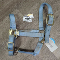 Thick Nylon Halter, adj, snap *gc, faded, discolored, dirty, stains, hole rubs/frays
