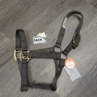 Thick Nylon Halter *gc/fair, v.faded, dirty, rubs, frays, threads, older
