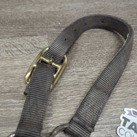 Thick Nylon Halter *gc/fair, v.faded, dirty, rubs, frays, threads, older
