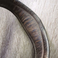 Rsd/Padded Monocrown Bridle *fair, NO Cheeks, older, MOLDY, dirty, v.tight keepers, rubs, faded
