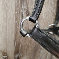 Rsd Padded Drop Noseband Only *xc, clean, v.mnr residue
