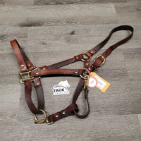 Flat Soft Leather Convertible Grooming Halter *vgc, clean, mnr crack, film, dents & residue
