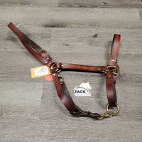 Flat Soft Leather Convertible Grooming Halter *vgc, clean, mnr crack, film, dents & residue
