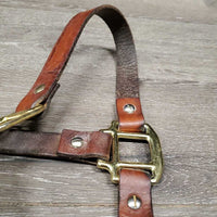 Flat Soft Leather Convertible Grooming Halter *vgc, clean, mnr crack, film, dents & residue
