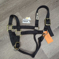 Soft Thick Nylon Halter, adj, snap *vgc/xc, clean, mnr stains
