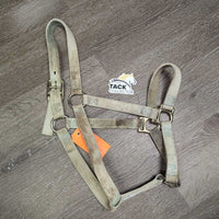 Stiff Nylon Halter *gc/fair, dirty, stains, edge rubs, v.faded & discolored
