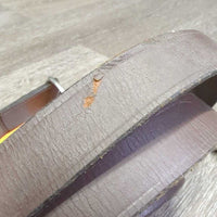 23.5" Nose Chain, 59" Short Leather Lead Shank "Millarville 2003" *gc/fair, older, residue, sticky, scraped edges, chips, rubs
