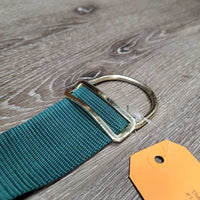 Closed Hvy Mesh & Nylon Web Stall Guard, adjustable, Lg D Rings *like new/clean, clean, edge frays
