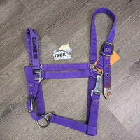 Nylon Halter, adj, snap "I Love My Horse" *vgc/fair, clean, stains, rubs, rusty

