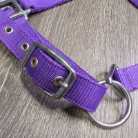 Nylon Halter, adj, snap "I Love My Horse" *vgc/fair, clean, stains, rubs, rusty
