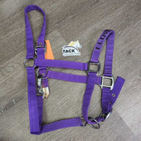 Nylon Halter, adj, snap "I Love My Horse" *vgc/fair, clean, stains, rubs, rusty
