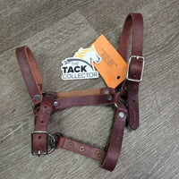 Soft Leather Foal Halter *vgc, clean, mnr film
