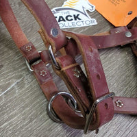 Soft Leather Foal Halter *vgc, clean, mnr film
