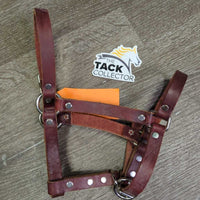 Soft Leather Foal Halter *vgc, clean, mnr film
