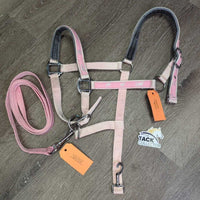 Padded Nylon Halter, adj, snap, Matching Lead Rope *gc & xc, clean, rubs, faded, BROKEN snap, unstitched, stains, frays
