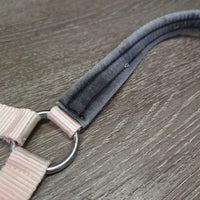 Padded Nylon Halter, adj, snap, Matching Lead Rope *gc & xc, clean, rubs, faded, BROKEN snap, unstitched, stains, frays
