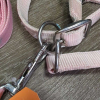 Padded Nylon Halter, adj, snap, Matching Lead Rope *gc & xc, clean, rubs, faded, BROKEN snap, unstitched, stains, frays
