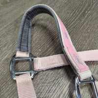 Padded Nylon Halter, adj, snap, Matching Lead Rope *gc & xc, clean, rubs, faded, BROKEN snap, unstitched, stains, frays
