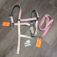 Padded Nylon Halter, adj, snap, Matching Lead Rope *gc & xc, clean, rubs, faded, BROKEN snap, unstitched, stains, frays
