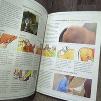 The usborne Riding School Showing by Lucy Smith *gc, mnr dirt, stamped, scratches
