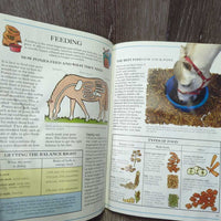 The Usborne Riding School Grooming and Stable Management by Lucy Smith *fair, rubs, water damage, stuck pages
