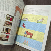 The Usborne Riding School Understanding your Pony Lucy Smith *gc, mnr dirt, stamped, scratches
