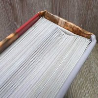 Brick Books: Horses by Kristin Maffei *vgc, mnr , dents, bent corners & twisted pages
