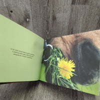 Brick Books: Horses by Kristin Maffei *vgc, mnr , dents, bent corners & twisted pages
