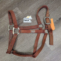 Thick Nylon Halter *gc/fair, stains, dirty, torn & frayed holes, discolored, rubs, faded
