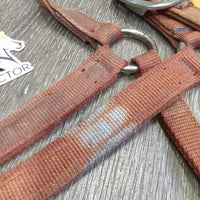 Thick Nylon Halter *gc/fair, stains, dirty, torn & frayed holes, discolored, rubs, faded
