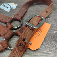 Thick Nylon Halter *gc/fair, stains, dirty, torn & frayed holes, discolored, rubs, faded
