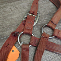 Thick Nylon Halter *gc/fair, stains, dirty, torn & frayed holes, discolored, rubs, faded
