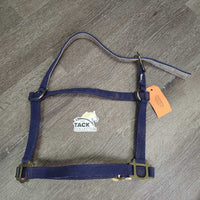 Stiff Nylon Halter, Suede Lined, adj *gc, dirty, frayed/scraped edges, rubs, cut/frayed holes
