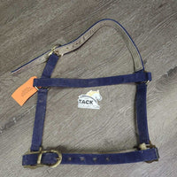 Stiff Nylon Halter, Suede Lined, adj *gc, dirty, frayed/scraped edges, rubs, cut/frayed holes

