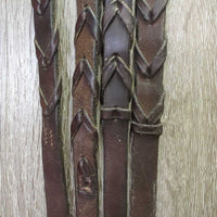 Rsd Leather Bridle, Flash, Braided *gc/fair, mismatched, scraped & chewed edges, tight keepers
